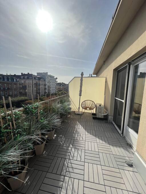 Appartement Cosy Orangerie Страсбург Экстерьер фото